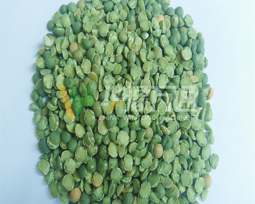 <a href=http://www.klzbw.com/product/8/ target=_blank class=infotextkey>豌豆脫皮機</a>